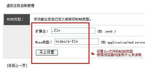 flvMIME