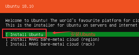 Ubuntu18.10serverװ̳3.png