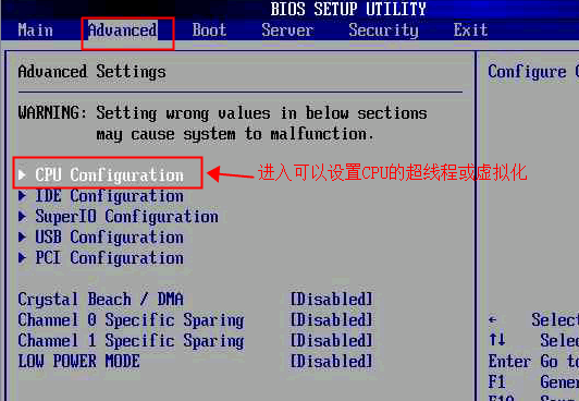 DELL CS-245.png
